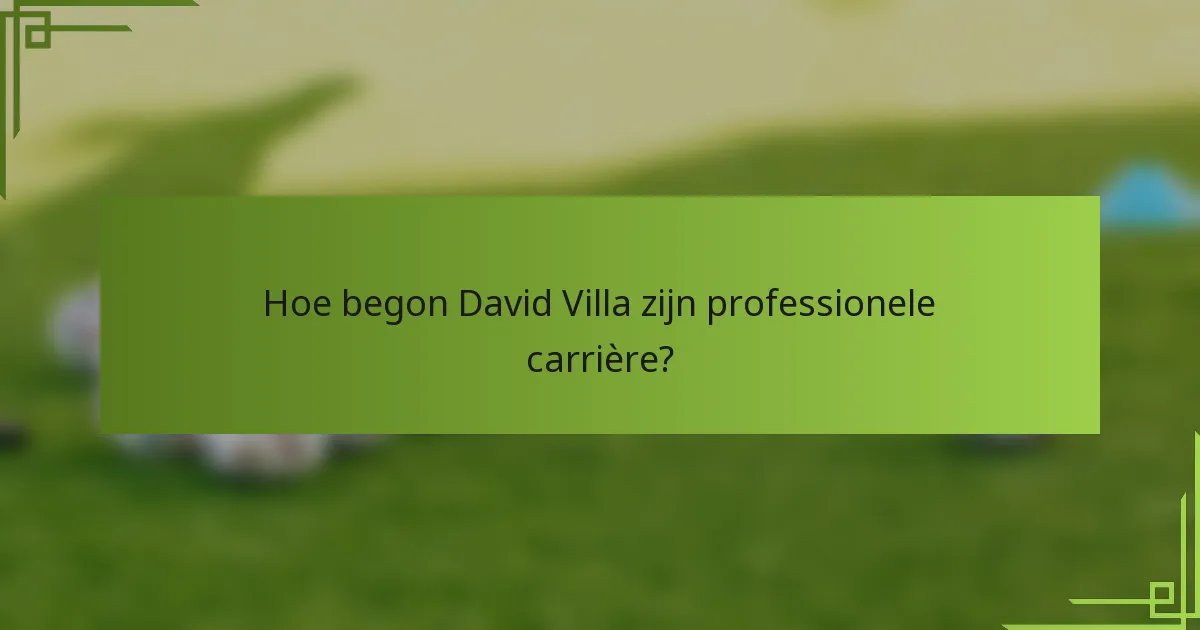 Hoe begon David Villa zijn professionele carrière?