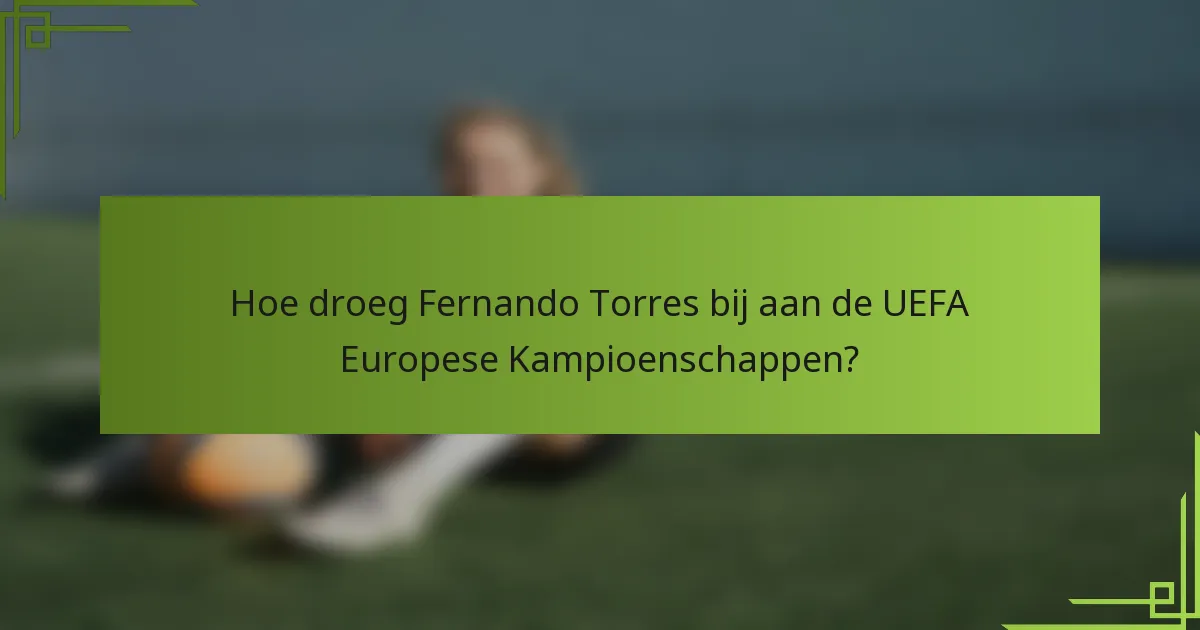 Hoe droeg Fernando Torres bij aan de UEFA Europese Kampioenschappen?