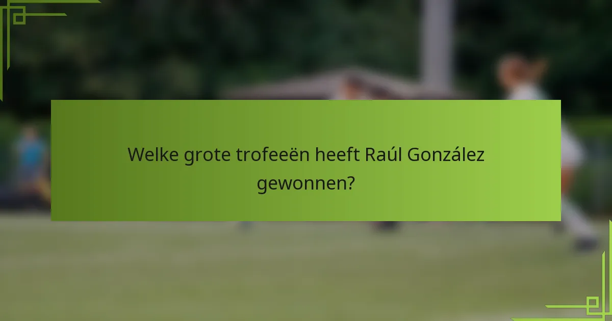 Welke grote trofeeën heeft Raúl González gewonnen?
